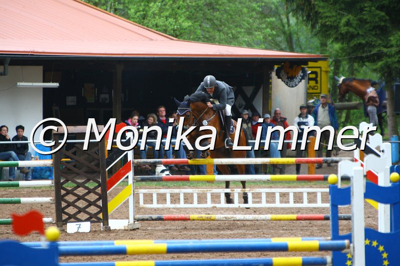 005L5423_Lavarius_Spring M mit Stechen.JPG